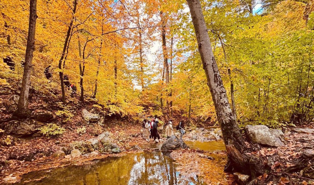 Gaziantep’in İslahiye ilçesinde yer alan Amanos Dağları, sonbaharın gelişiyle birlikte