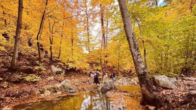 Gaziantep’in İslahiye ilçesinde yer alan Amanos Dağları, sonbaharın gelişiyle birlikte