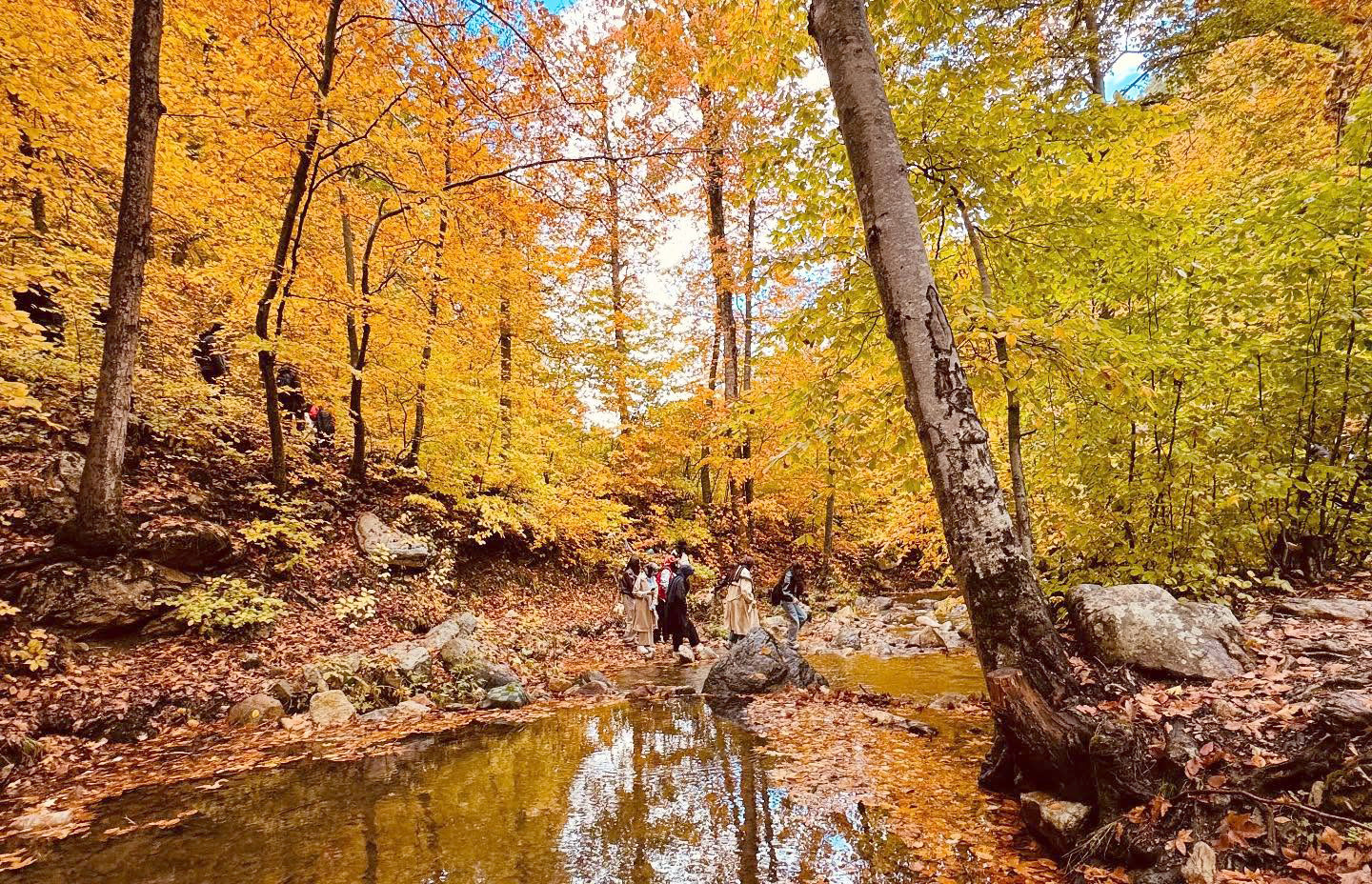 Gaziantep’in İslahiye ilçesinde yer alan Amanos Dağları, sonbaharın gelişiyle birlikte