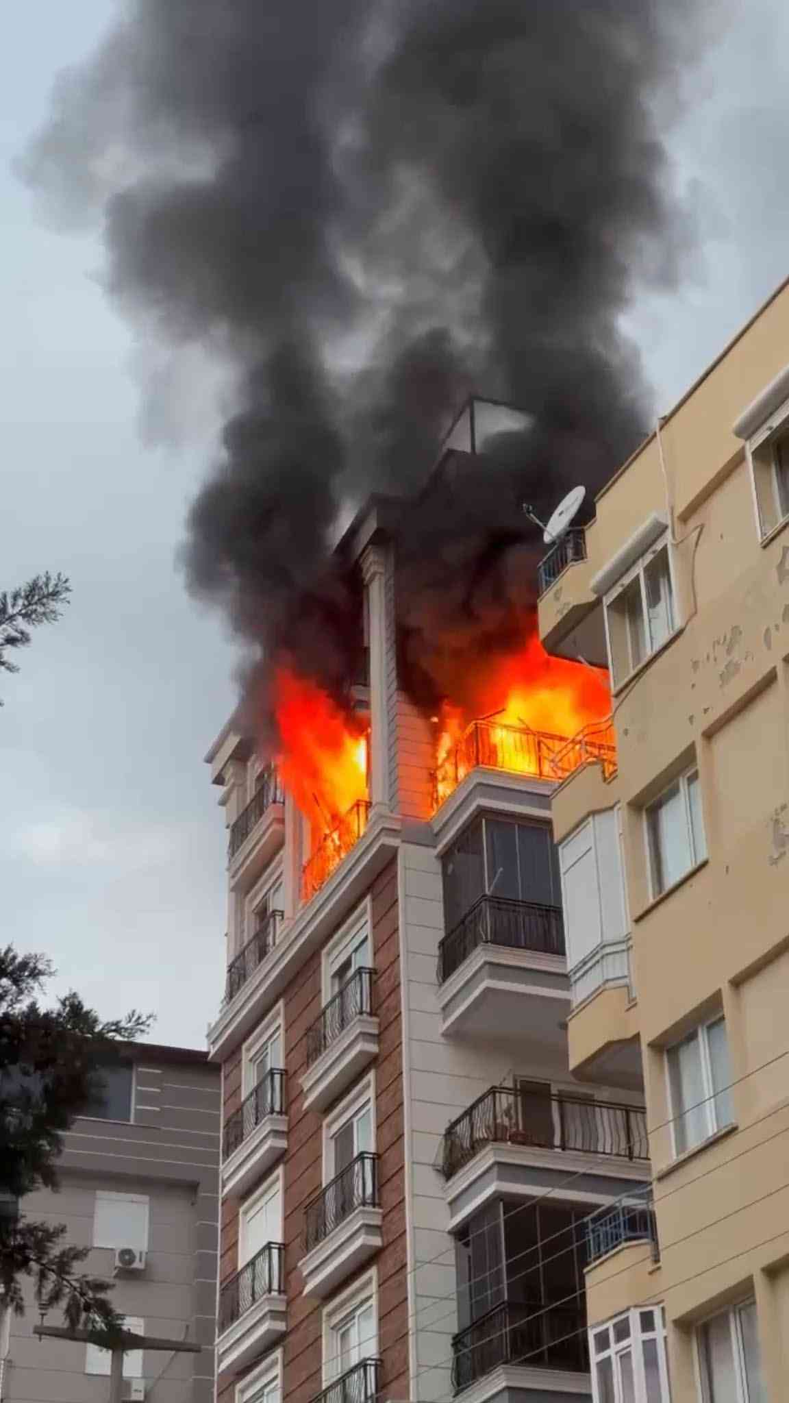 &nbsp; Olay, Muratpaşa’da Gerçekleşti Antalya’nın Muratpaşa ilçesinde, tartıştığı anneannesi Hülya