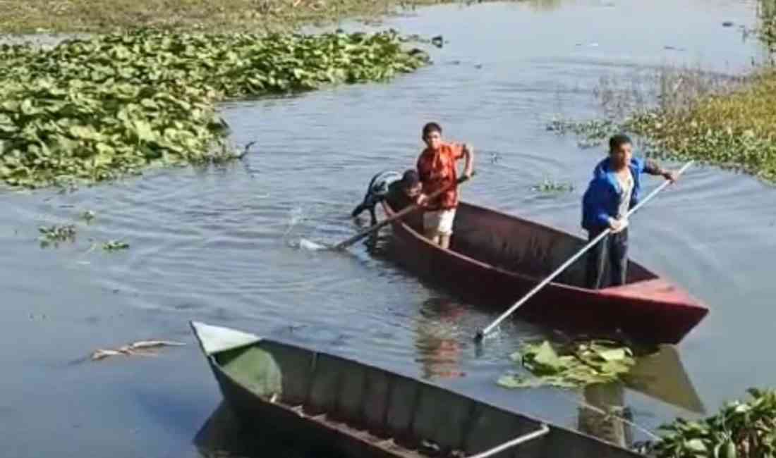 Hatay’da Asi Nehri ve Gölbaşı Gölü’nü kaplayan istilacı su sümbülleri,