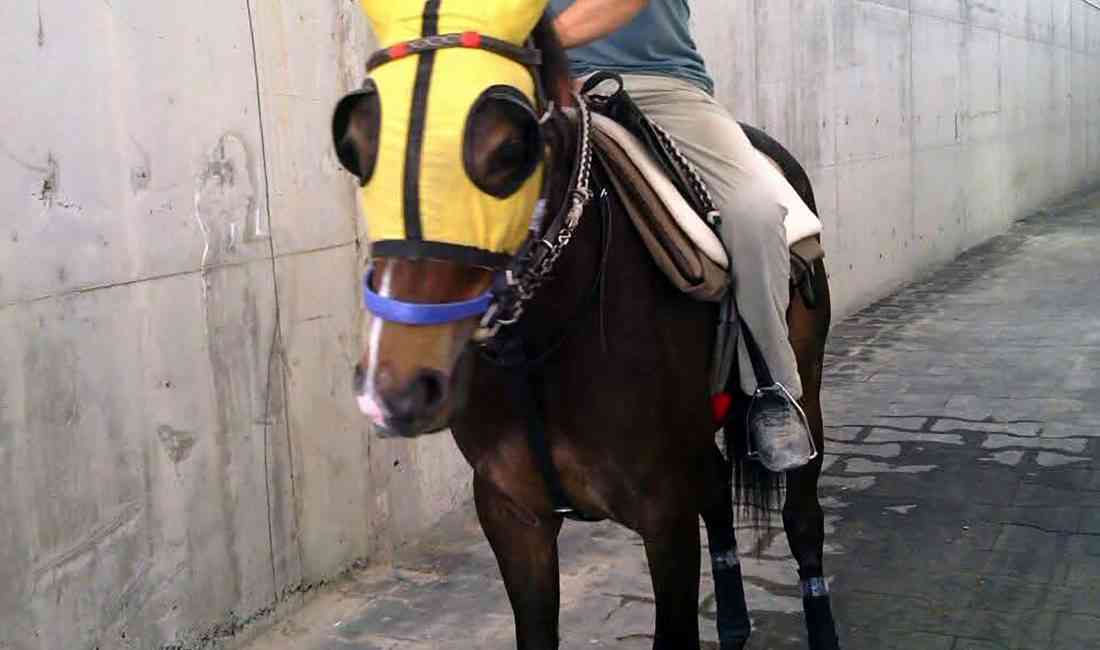 Kaza, Adana’nın Seyhan İlçesinde Meydana Geldi Adana’da, hipodromda görev yapan