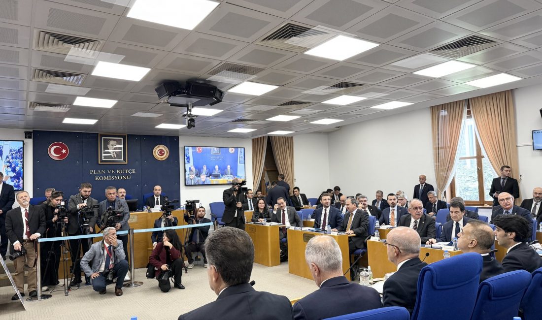   Hazine ve Maliye Bakanı Mehmet Şimşek, vergi ve harçlardaki