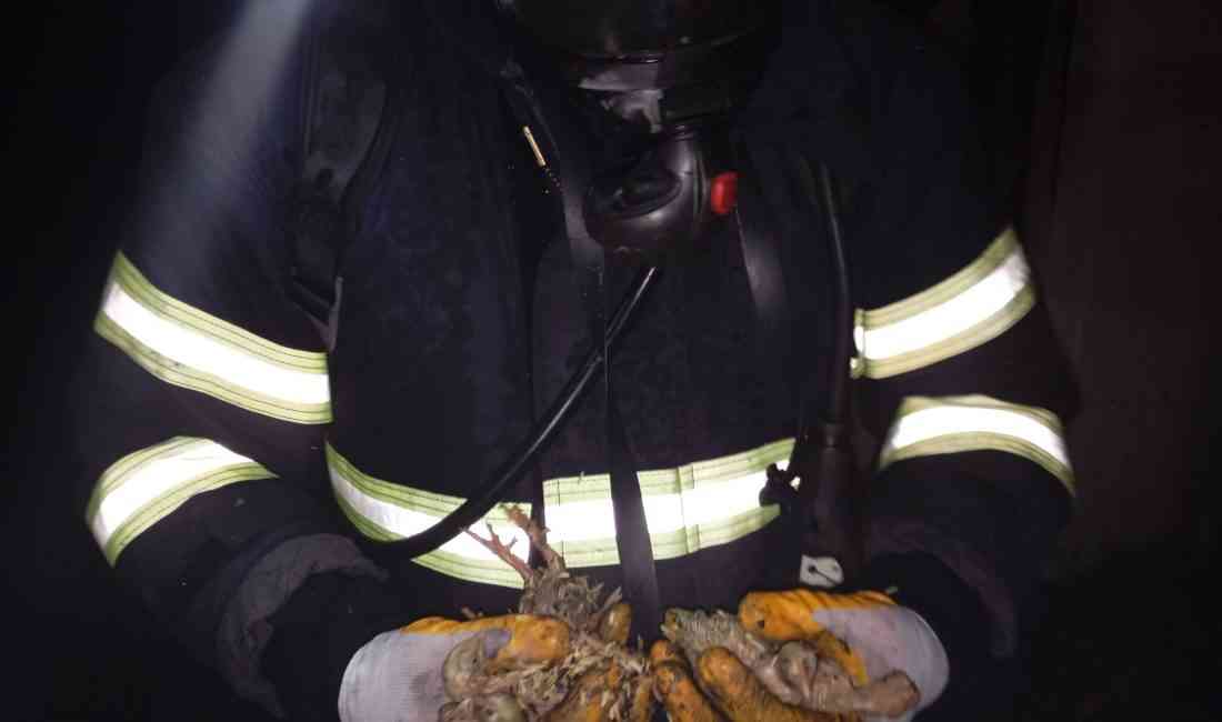 &nbsp; Yangın, Kısa Sürede Yayılınca 5 Bin Civciv Öldü Balıkesir’in