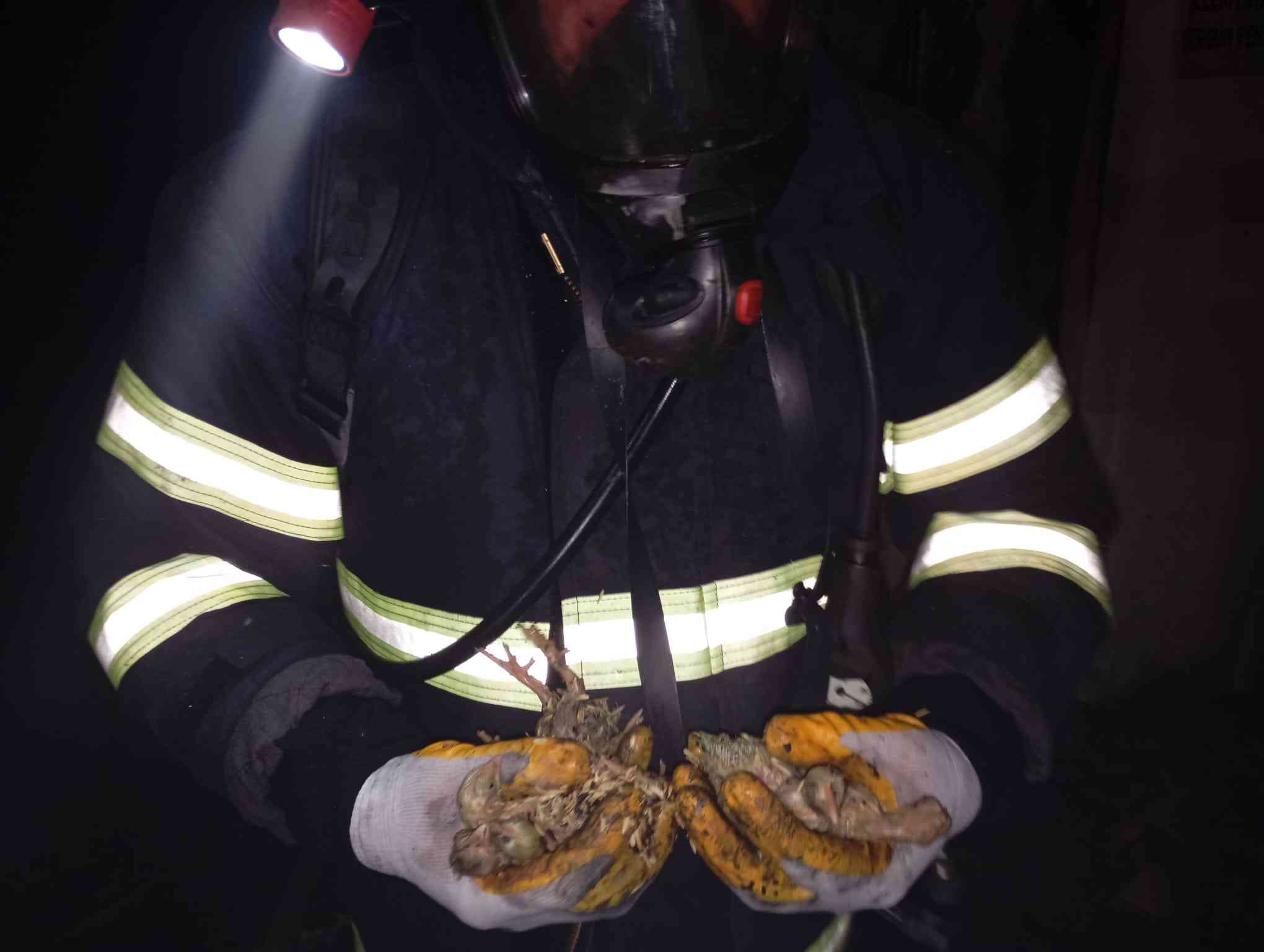 &nbsp; Yangın, Kısa Sürede Yayılınca 5 Bin Civciv Öldü Balıkesir’in