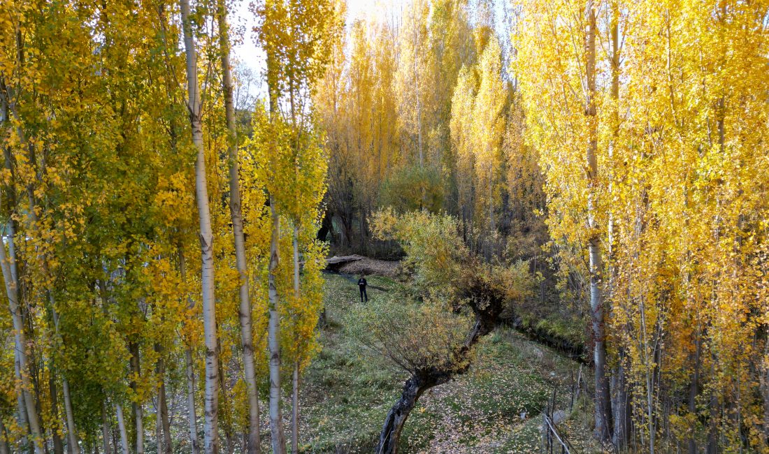   Bitlis’in Değirmenaltı köyü, sonbaharın gelişiyle birlikte sarı, turuncu ve