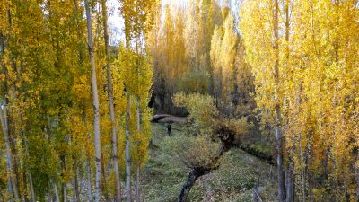   Bitlis’in Değirmenaltı köyü, sonbaharın gelişiyle birlikte sarı, turuncu ve