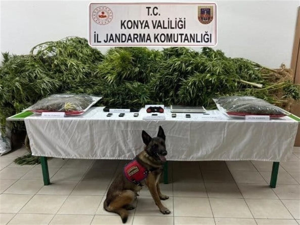   Çiftliğinde Uyuşturucu Bulunan Avukat Yusuf K. Beraat Etti, Kiracı