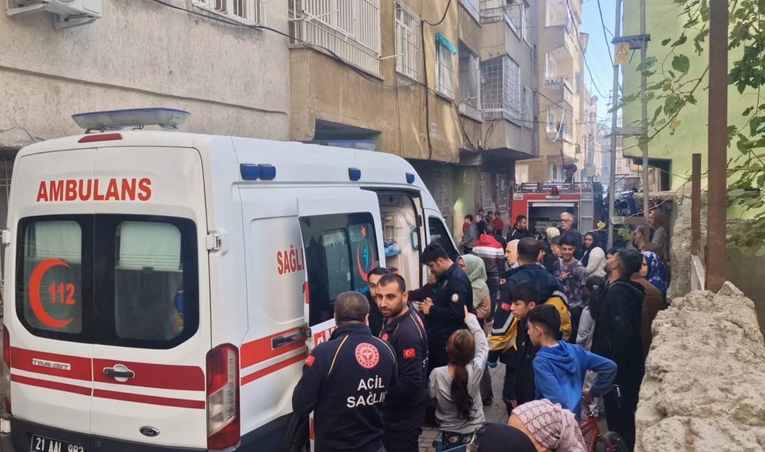   Diyarbakır’ın Bağlar ilçesinde, Kaynartepe Mahallesi 281’inci Sokak’ta bulunan 5