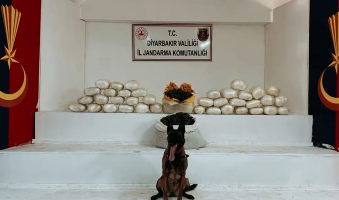   İçişleri Bakanı Yerlikaya: 25 Şüpheli Gözaltında İçişleri Bakanı Ali