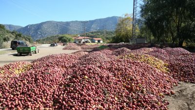 Isparta’nın Eğirdir ilçesinde, hasat dönemiyle birlikte köy meydanlarını elma yığınları