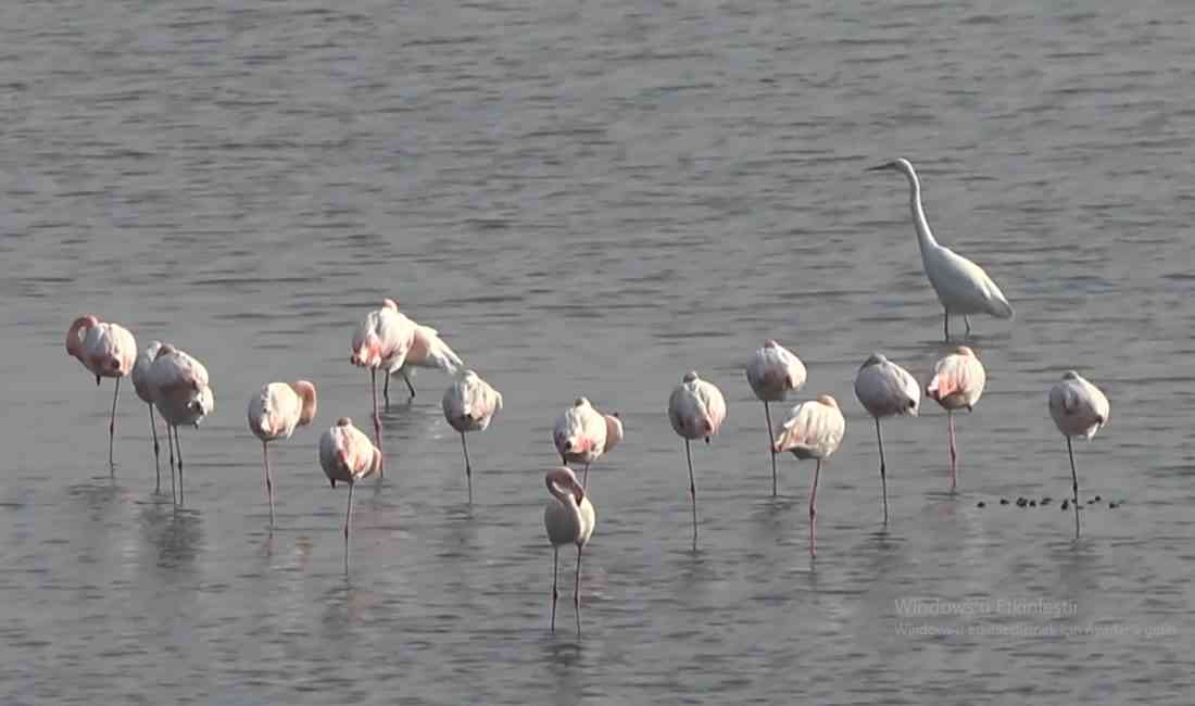 &nbsp; “Bir Kadına Hazır Değilsiniz” Eski ABD Başkanı Barack Obama’nın