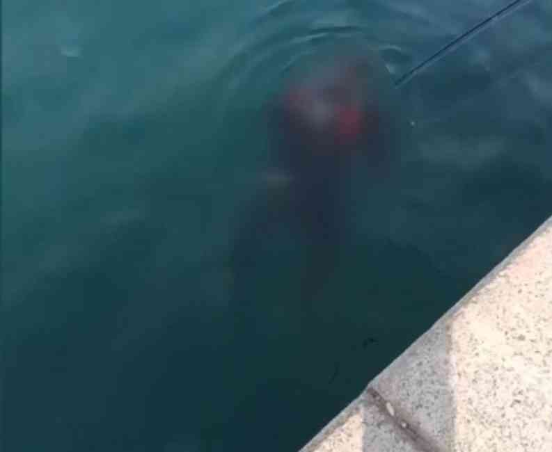 &nbsp; Balıkçılar Oltalarına Takılan Cesedi Fark Etti İstanbul’un Beykoz ilçesi