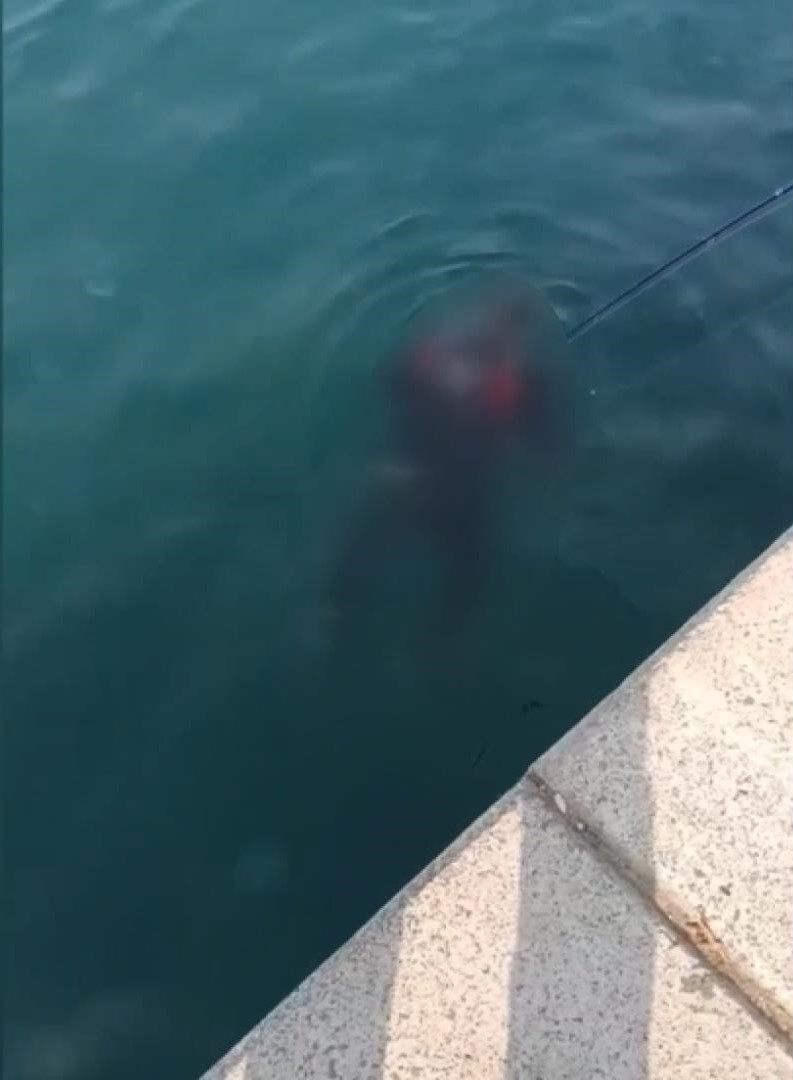   Balıkçılar Oltalarına Takılan Cesedi Fark Etti İstanbul’un Beykoz ilçesi