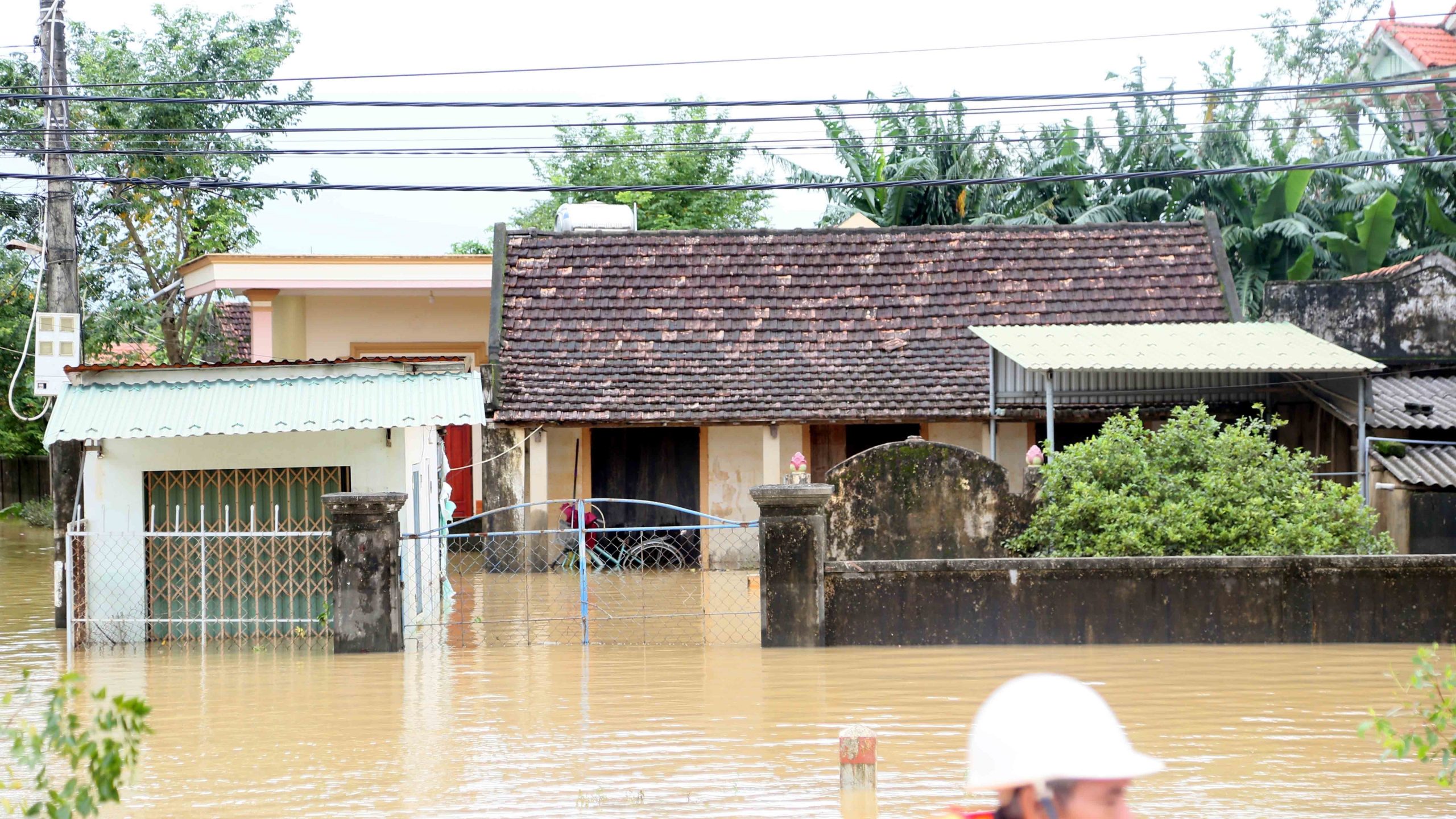   Vietnam’da etkili olan Kalmaegi Tayfunu, ülkenin orta kesimlerinde can