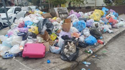   İzmir’de Karasinek Yoğunluğu Artıyor, Uzm. Dr. Yüce Ayhan İklim