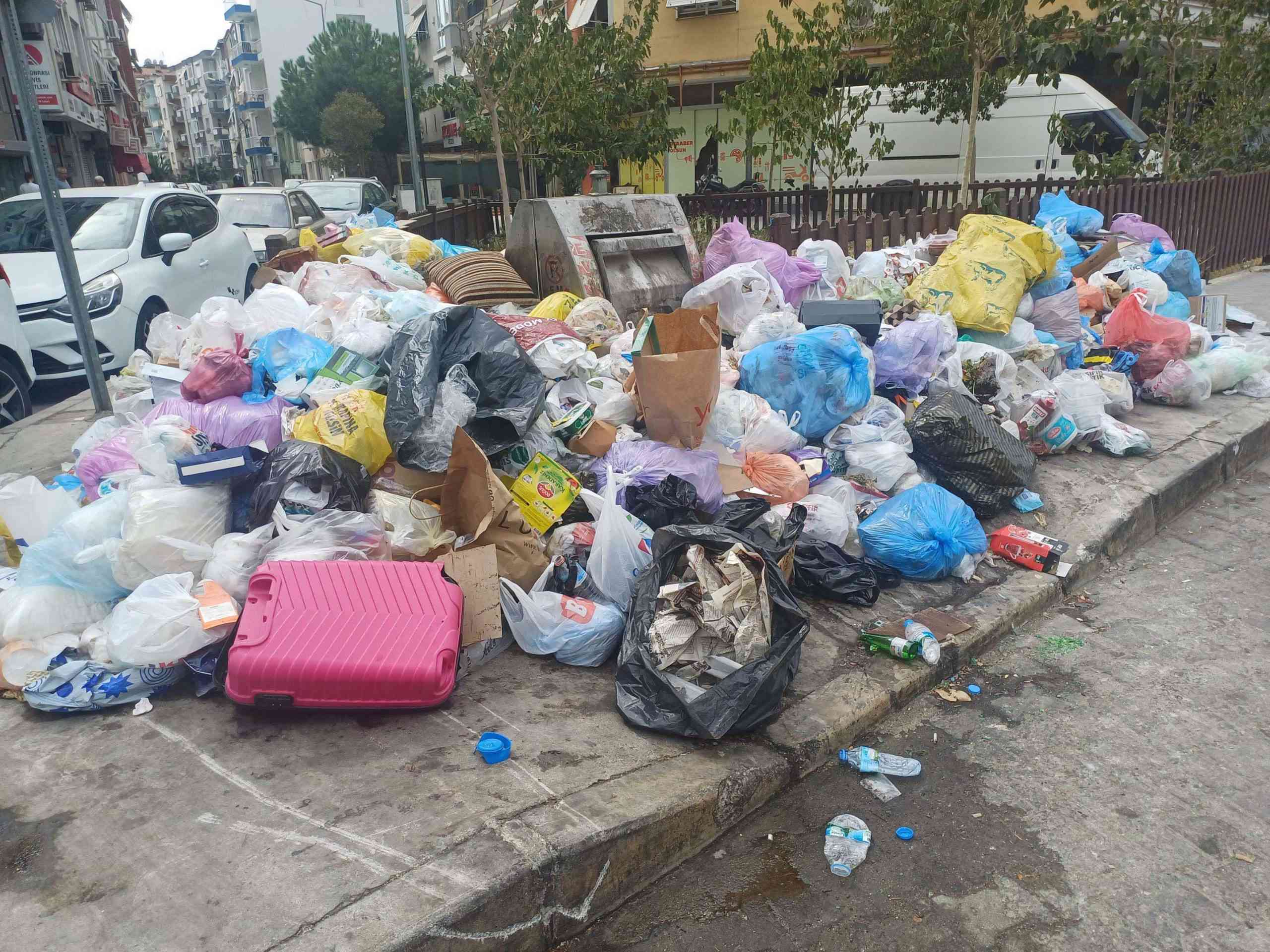 &nbsp; İzmir’de Karasinek Yoğunluğu Artıyor, Uzm. Dr. Yüce Ayhan İklim