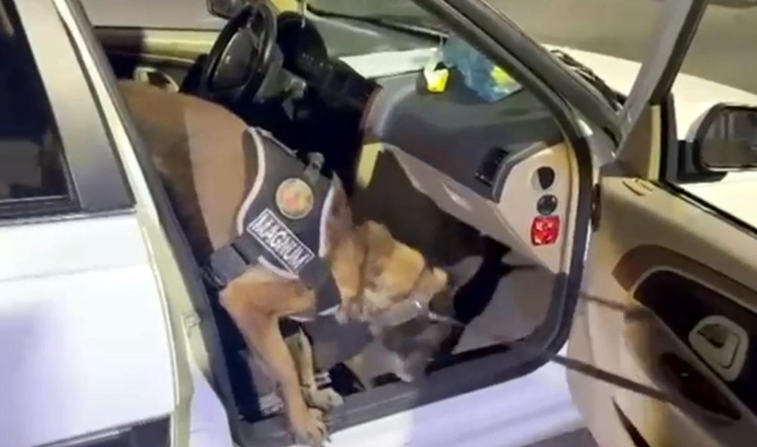 Erzurum’da yabancı plakalı bir otomobilde yapılan narkotik aramasında, ön yolcu