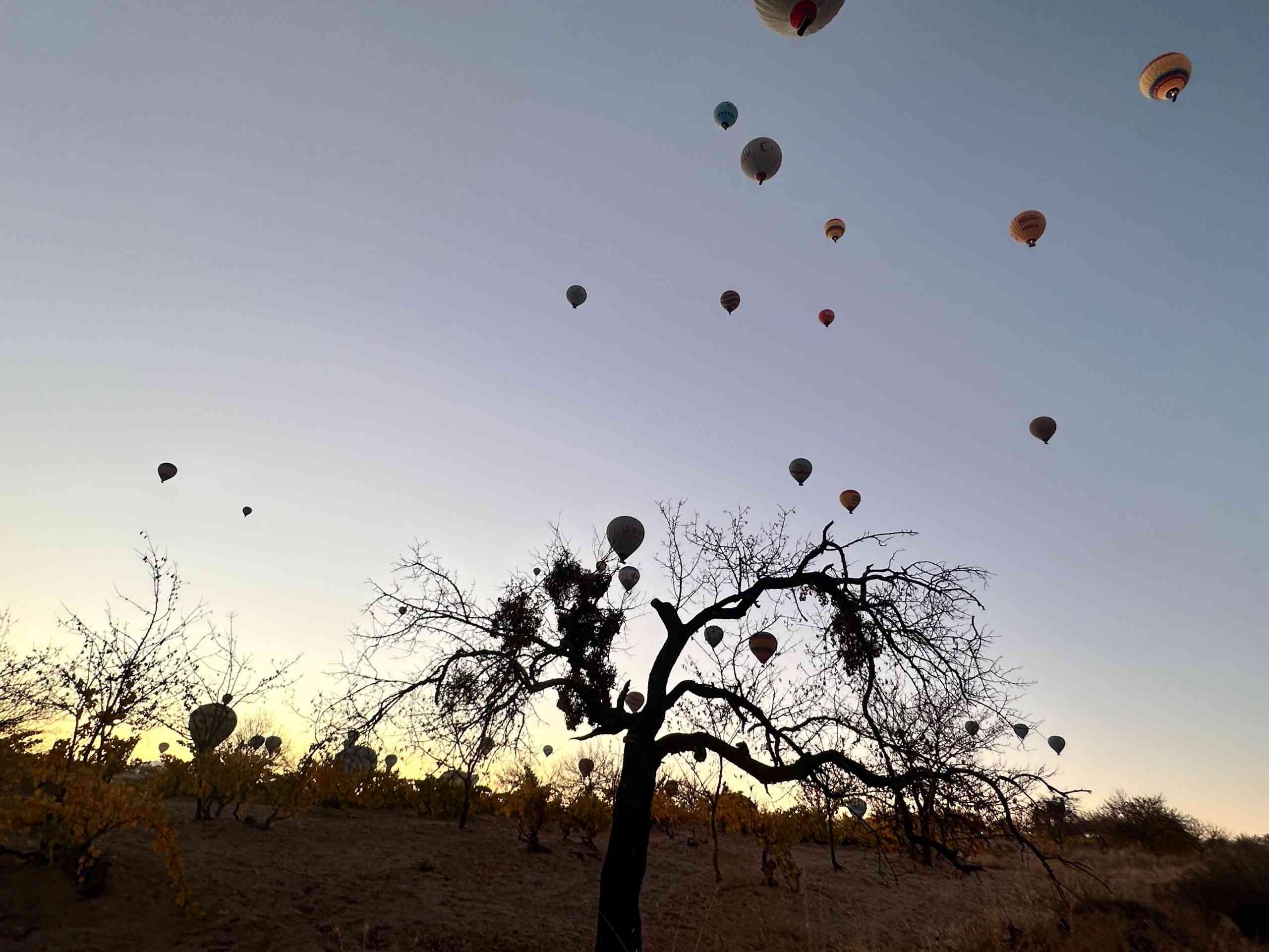 &nbsp; Türkiye’nin önemli turizm merkezlerinden Kapadokya, sonbaharın gelmesiyle birlikte adeta