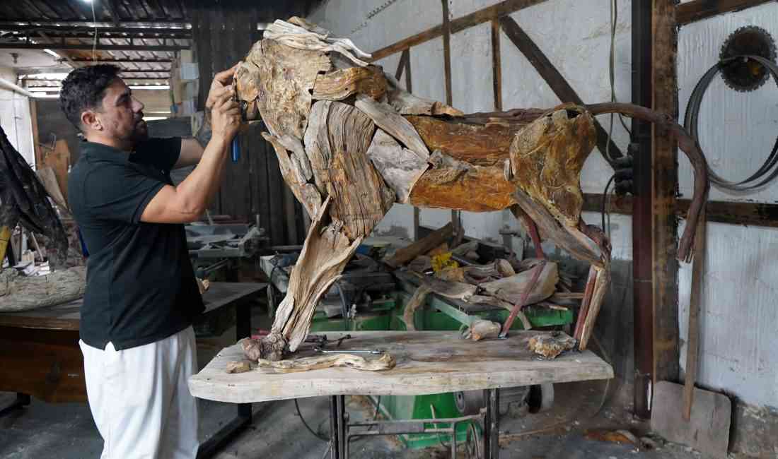 &nbsp; Antalya’da yaşayan driftwood (geri dönüşüm) sanatçısı Osman Dönmez, doğadan