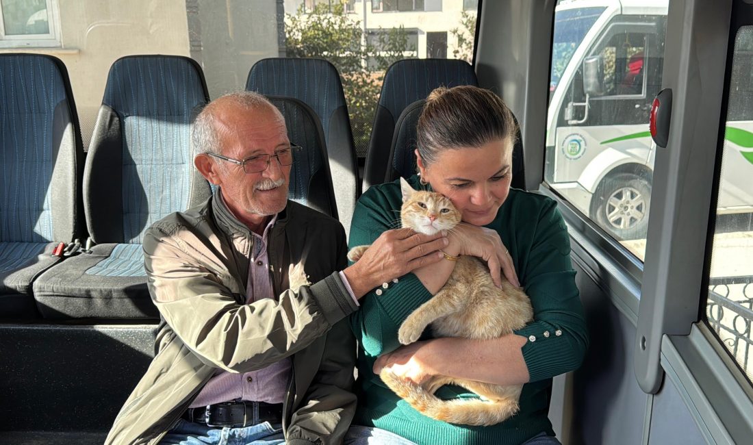 Ordu’nun Ünye ilçesinde dolmuş şoförleri, sokak köpeklerinin saldırısına uğrayarak yaralanan