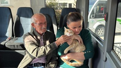 Ordu’nun Ünye ilçesinde dolmuş şoförleri, sokak köpeklerinin saldırısına uğrayarak yaralanan