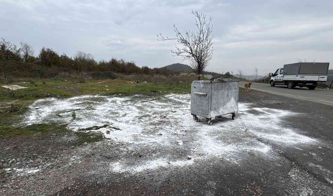 &nbsp; İlkadım’da Sokak Hayvanlarının Ölümü Üzerine İnceleme Yapıldı Samsun’un İlkadım