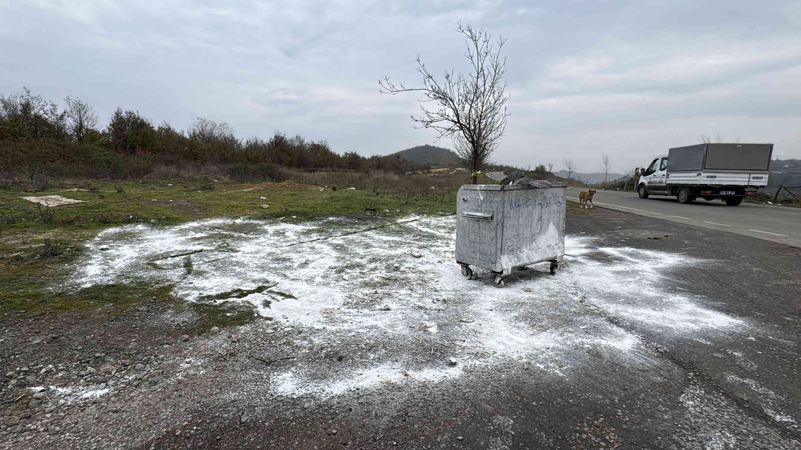 &nbsp; İlkadım’da Sokak Hayvanlarının Ölümü Üzerine İnceleme Yapıldı Samsun’un İlkadım