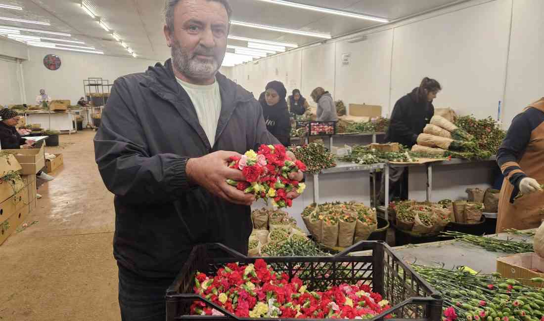 &nbsp; Tavernalarda Tabak Yerine Çiçek Kafası: Türkiye’den 3 Milyon Dolarlık