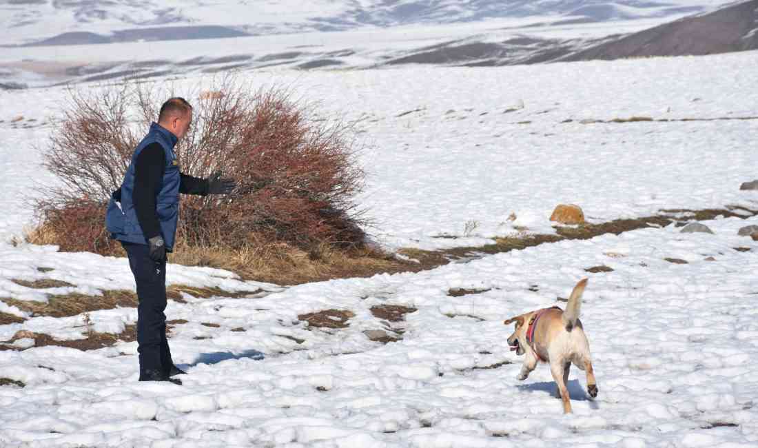 &nbsp; Yenikervansaray Köyü’nde Yaşayan Musa Uygun 14 Kasım’da Evinden Çıktı
