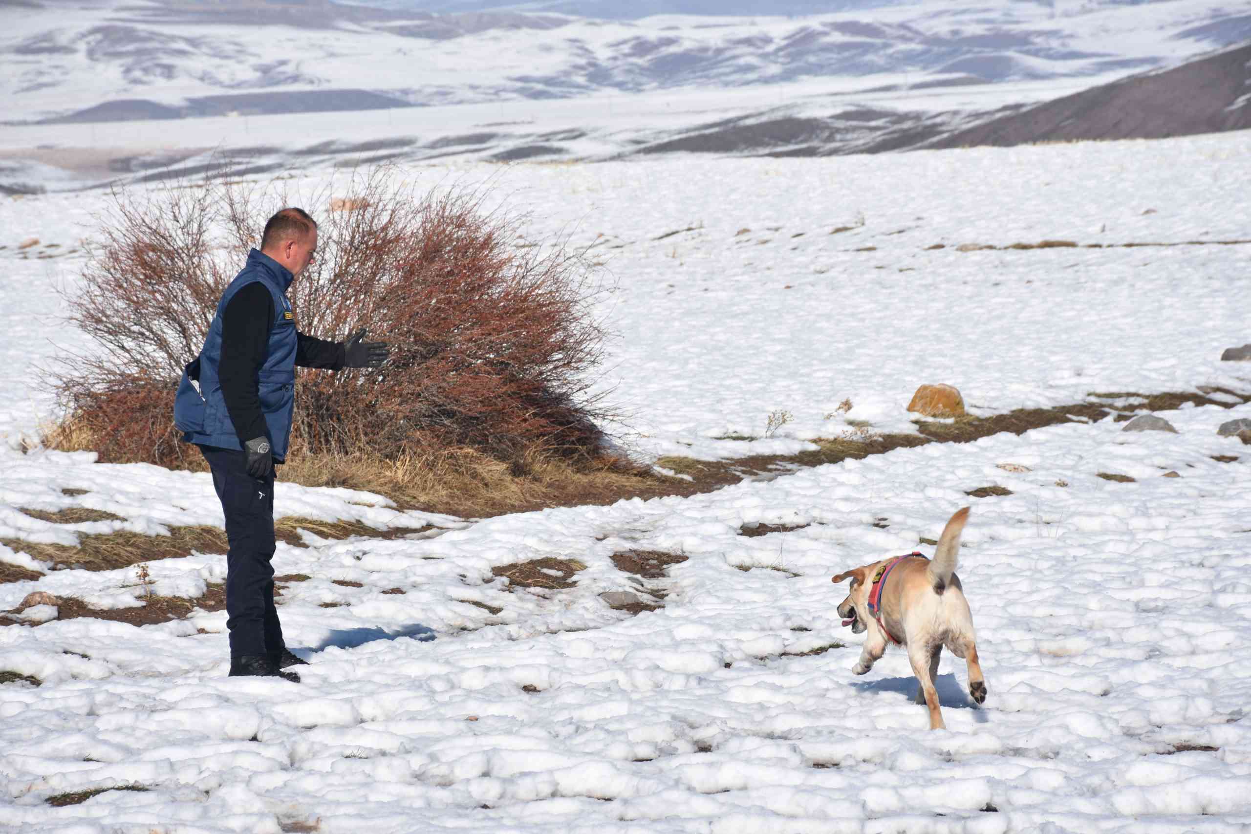 &nbsp; Yenikervansaray Köyü’nde Yaşayan Musa Uygun 14 Kasım’da Evinden Çıktı