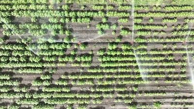 Adana Ticaret Borsası (ATB) Meclis Başkanı Osman Bağış, Türkiye’de artan