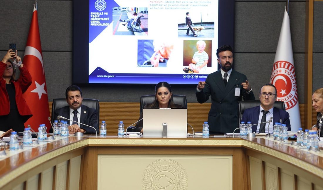 TBMM Engelli Bireylerin Sorunlarını Araştırma Komisyonu, AK Parti Ankara Milletvekili