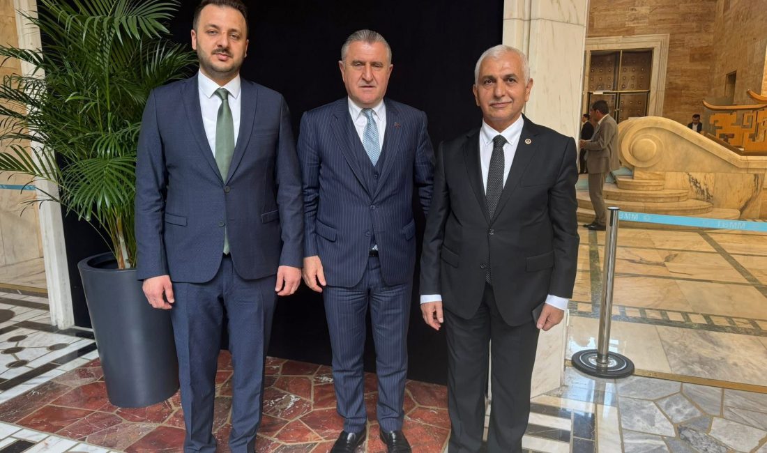 AK Parti Genel Merkez Yerel Yönetimler Başkan Yardımcısı ve AK