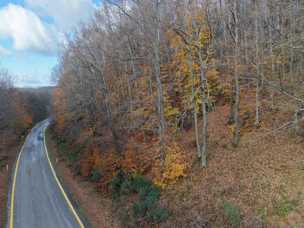 &nbsp; Lapseki’nin Zirvesinde Sonbahardan Kalma Renk Cümbüşü Dronla Görüntülendi ÇANAKKALE’nin