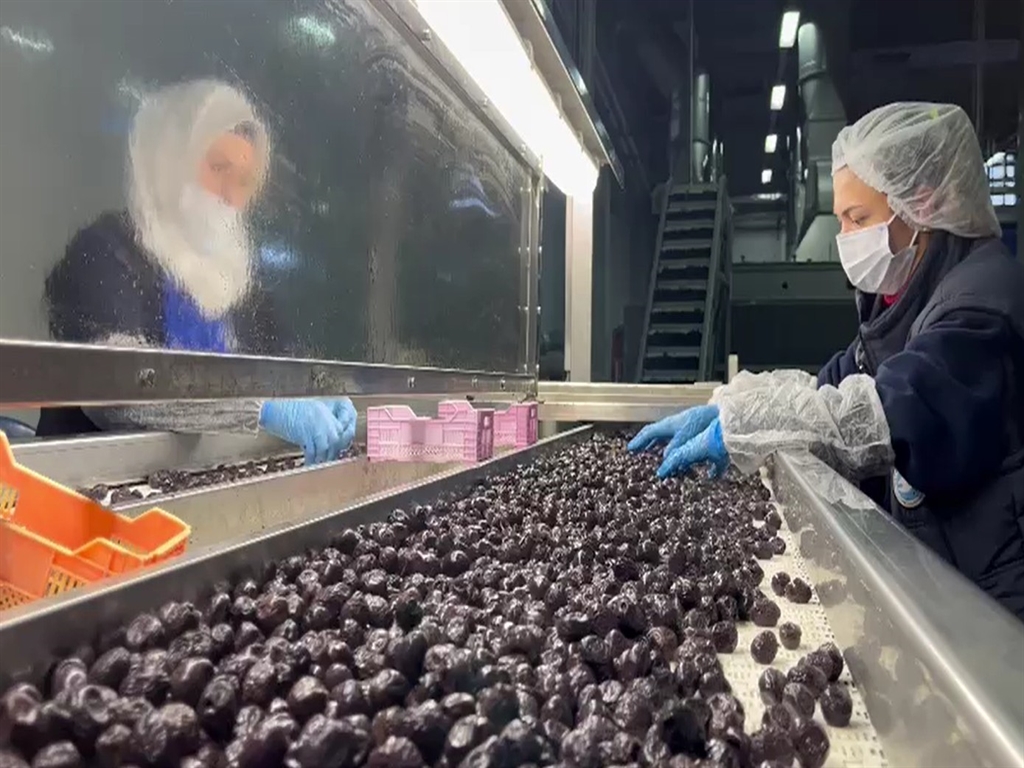 &nbsp; Marmarabirlik’in Hedefi Orta Doğu Pazarında Büyümek MARMARA Zeytin Tarım