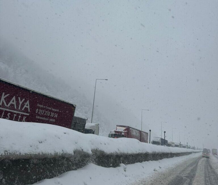 Yoğun Kar Yağışı Ulaşımı Vurdu, Ekipler Teyakkuzda Düzce-Bolu istikametinde etkili