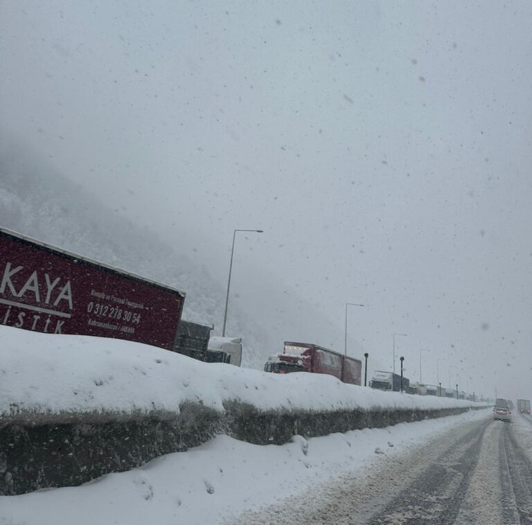 Yoğun Kar Yağışı Ulaşımı Vurdu, Ekipler Teyakkuzda Düzce-Bolu istikametinde etkili