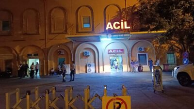 Ömerli İlçesinde İki Mahalle Arasındaki Arazide Hareketsiz Yatan Şahsın Hayatını