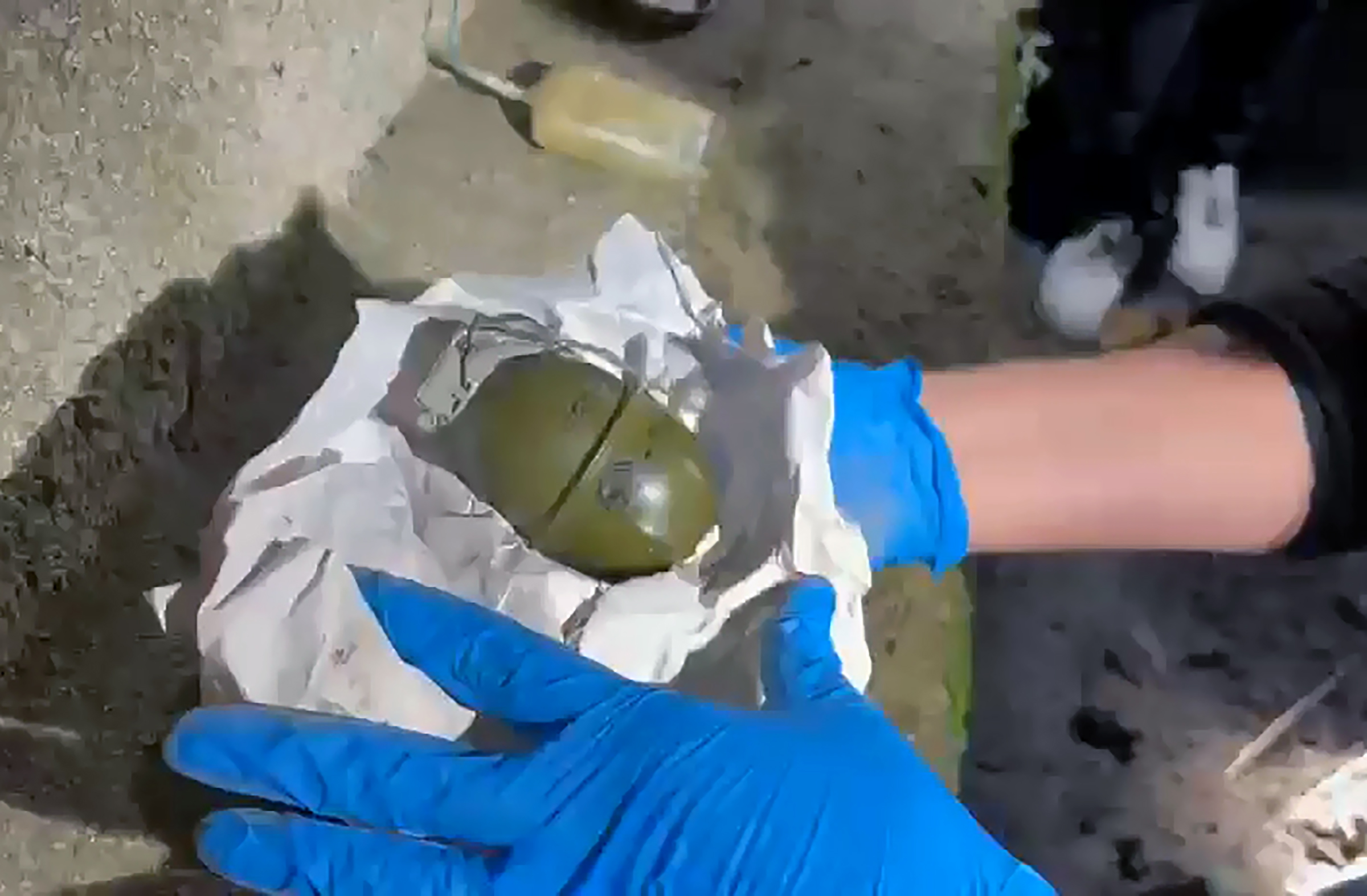 &nbsp; Bahçede El Bombası ve El Yapımı Patlayıcı Bulundu Adana’da