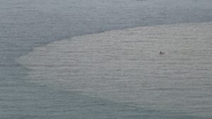 &nbsp; Bartın’da Yağışların Ardından Deniz Çamur Rengini Aldı Bartın’da son