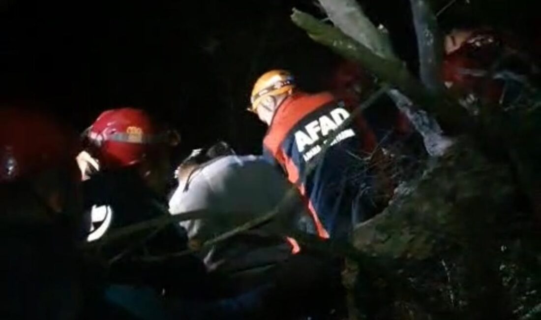 &nbsp; Gürsu’da Arama-Kurtarma Operasyonu Başarıyla Tamamlandı Bursa’nın Gürsu ilçesinde ormanda