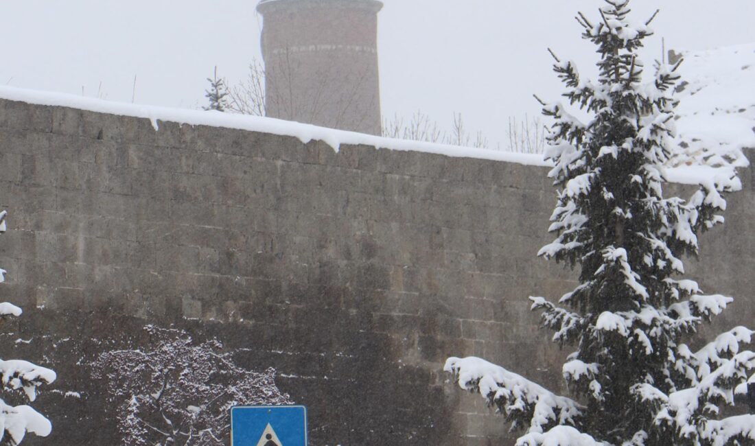 Erzurum ve Ardahan’da Dondurucu Soğuklar Hayatı Durma Noktasına Getirdi; Kar