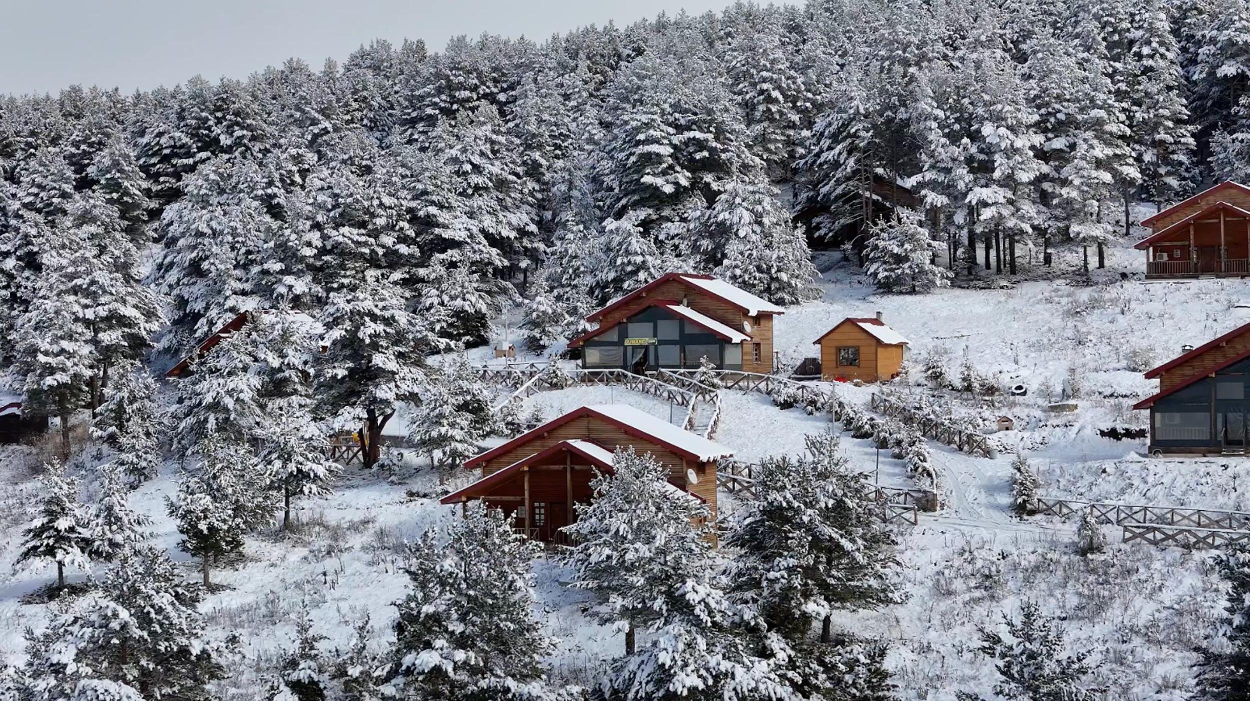 &nbsp; Kar Yağışı Tabiat Parkında Beyaz ve Yeşilin Buluştuğu Manzaralar