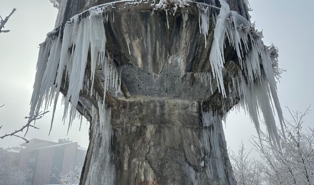 Ağrı’da Kar Yağışının Ardından Etkili Olan Şiddetli Soğuklar Hayatı Olumsuz