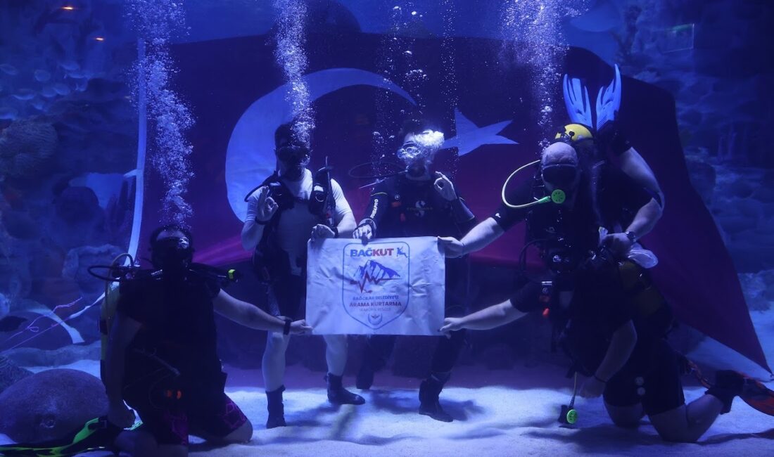 &nbsp; ‘Engelsiz Dalış’ Etkinliği Yoğun İlgi Gördü 3 Aralık Dünya