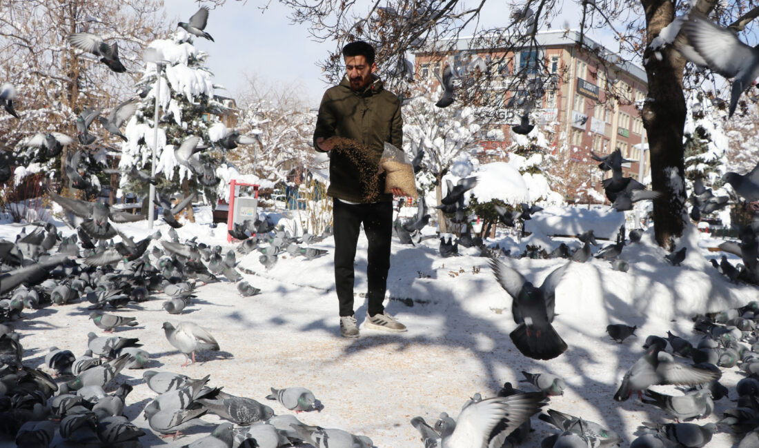 36 Yıllık Esnaf Mevlüt İzci, Yüzlerce Güvercin İçin Yardım Çağrısında