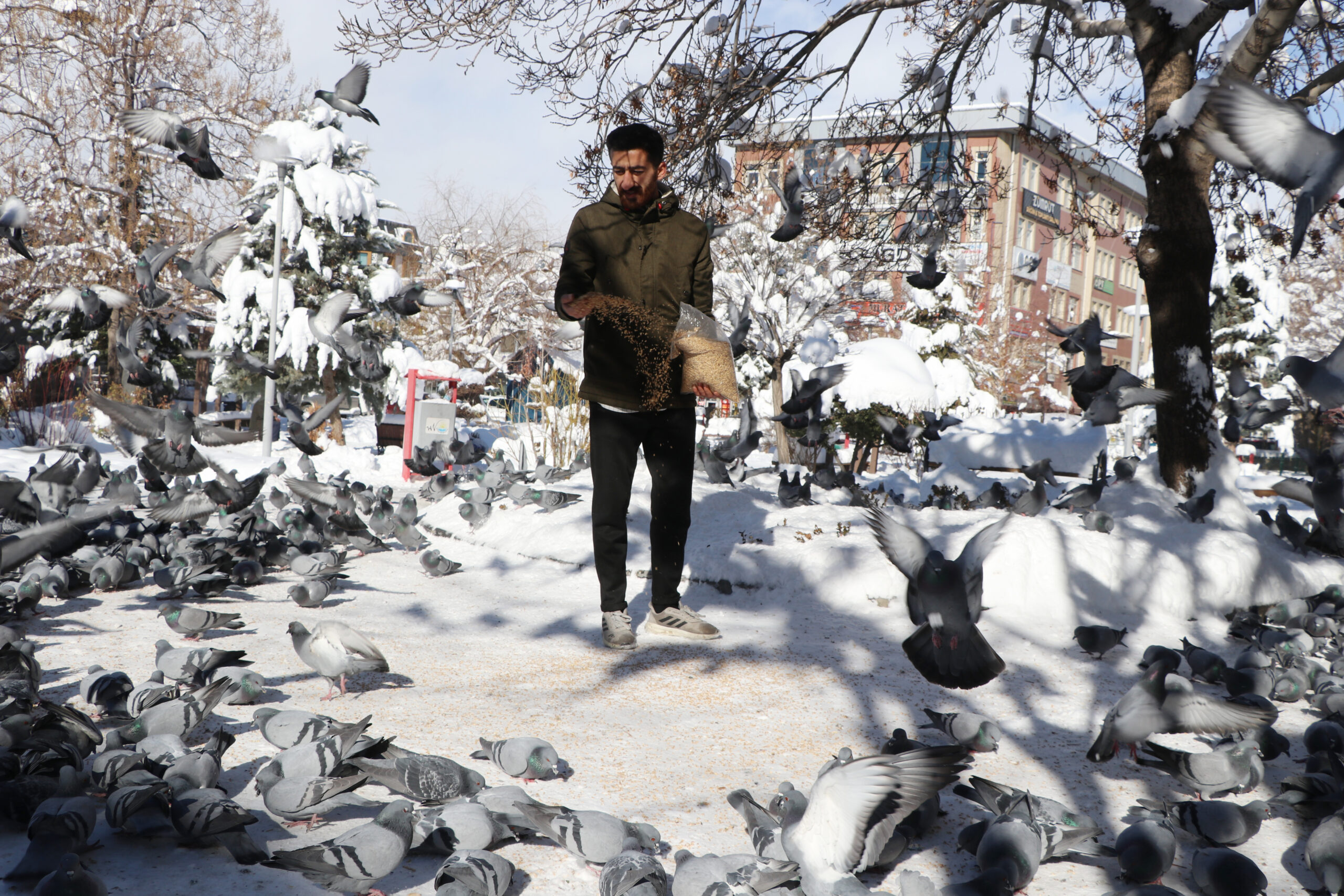 36 Yıllık Esnaf Mevlüt İzci, Yüzlerce Güvercin İçin Yardım Çağrısında