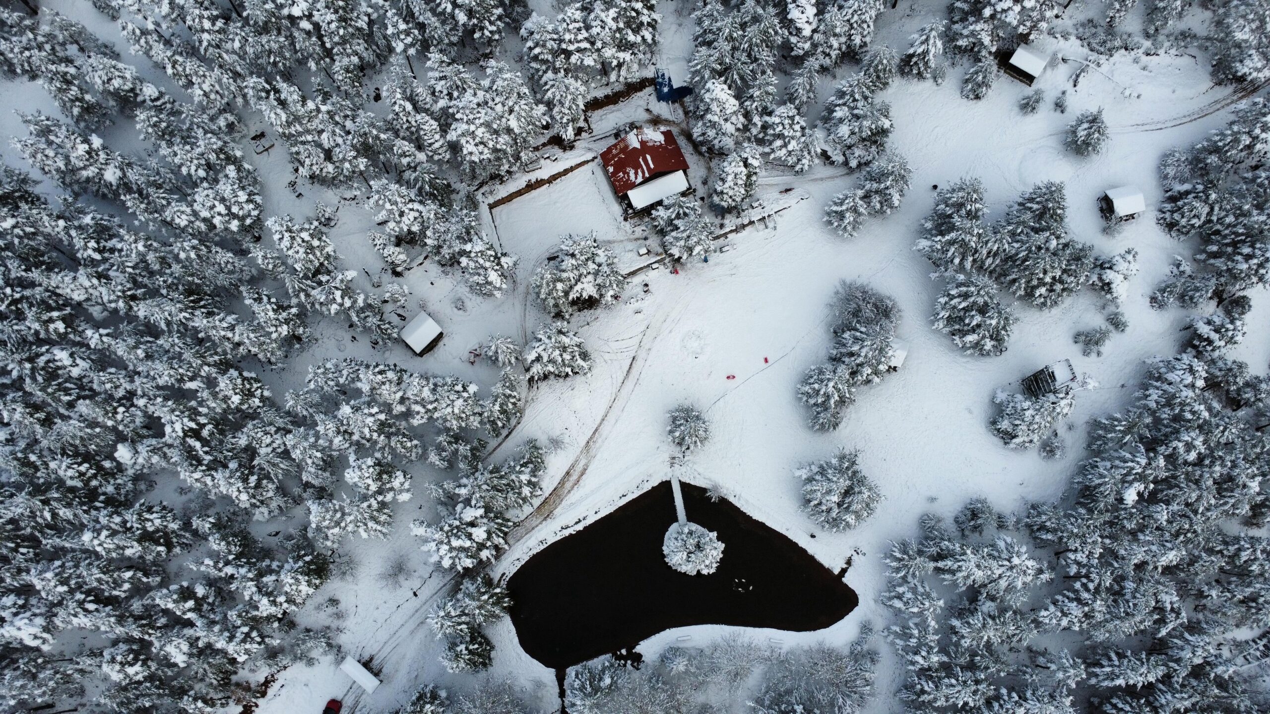 &nbsp; Kent Ormanı Kış Manzarasıyla Doğaseverleri Büyüledi Gümüşhane’de etkili kar