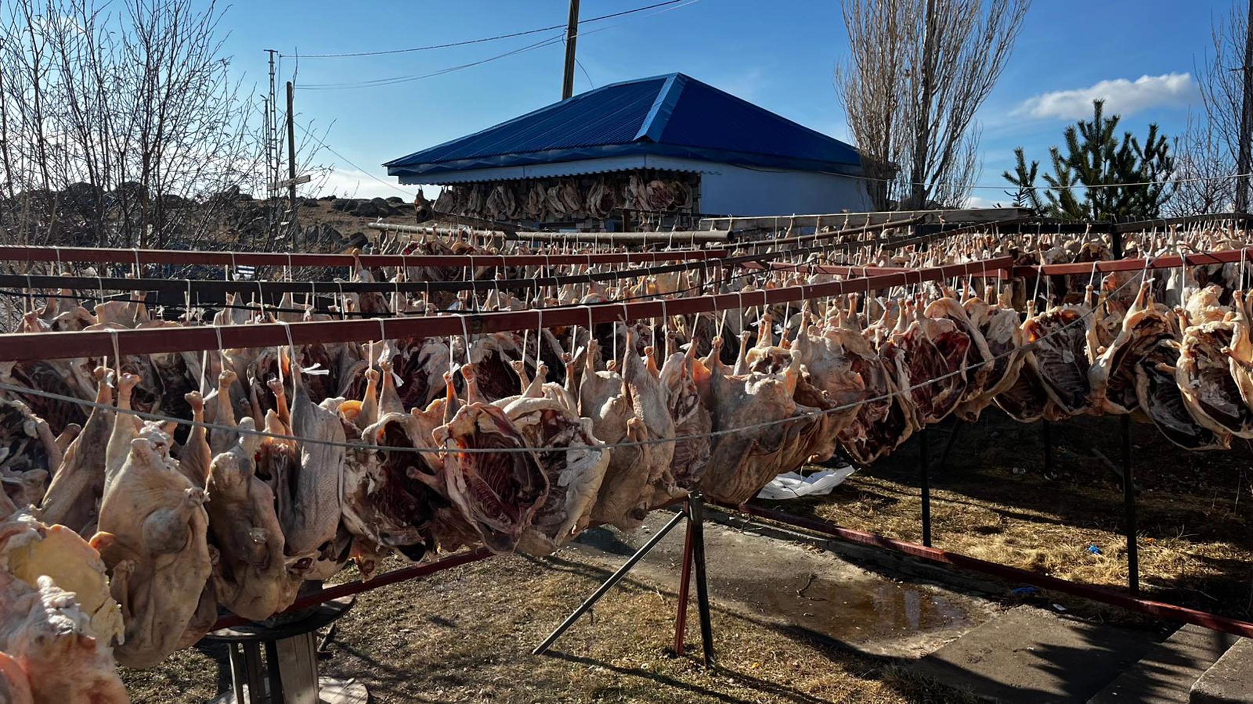 &nbsp; Arpaçay’da Kesimi Tamamlanan Kazlar 10 Gün Açık Havada Kurutuluyor